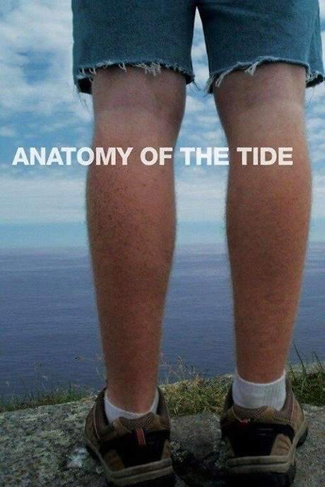 Anatomy of the Tide